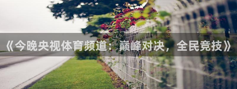 柠檬直播在线观看