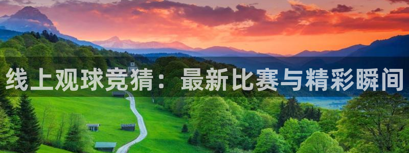 柠檬直播邀请码