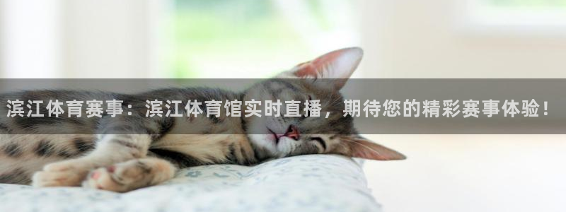 柠檬直播平台下载安装