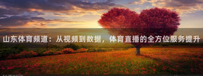 柠檬直播篮球