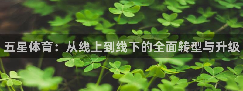 cba柠檬直播
