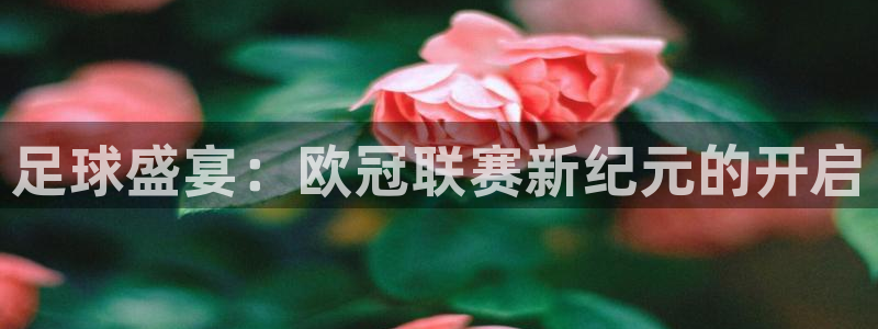 柠檬直播app平台下载