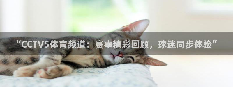 柠檬直播体育官网
